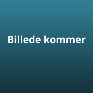 Formand Aros Industri Stilladser ApS